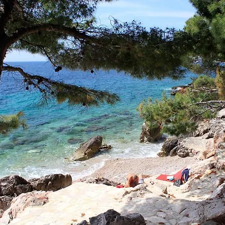 Ivan Dolac 4584b Apartamento Jelsa (Hvar)